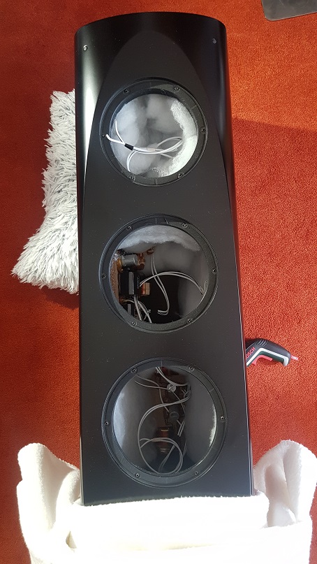 Drivers removed, original crossovers still inside